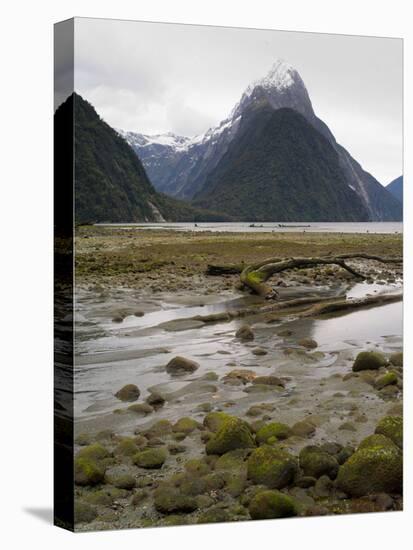 Mitre Peak, Estuary and Bay from Milford Sound; Fiordland National Park, New Zealand-Timothy Mulholland-Premier Image Canvas