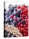 Mixed Berries and Ear of Spelt Wheat-Barbara Lutterbeck-Premier Image Canvas