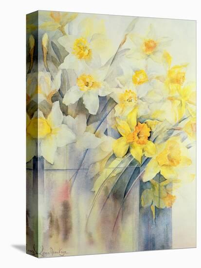 Mixed Daffodils in a Tank-Karen Armitage-Premier Image Canvas