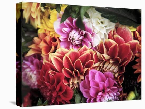 Mixed Dahlias-Marc O^ Finley-Premier Image Canvas