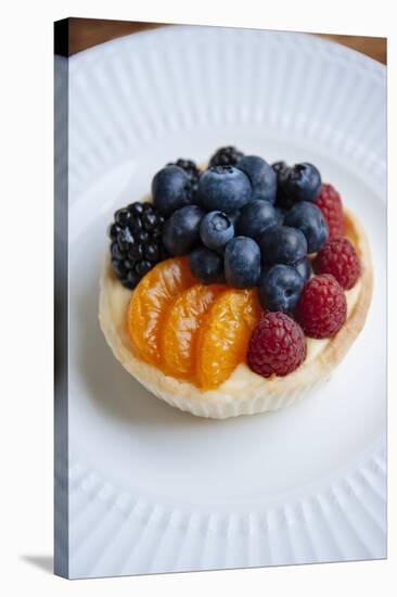 Mixed Fruit Tart Including Blueberries And Raspberries With Madarins On A Custard Filling-Shea Evans-Stretched Canvas