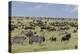 Mixed herd of wildebeest and zebras, Serengeti National Park, Tanzania, Africa-Adam Jones-Premier Image Canvas