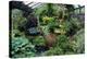 Mixed Plants In a Greenhouse-Adrian Thomas-Premier Image Canvas