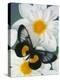 Miyana Meyeri Butterfly on Flowers-Darrell Gulin-Premier Image Canvas