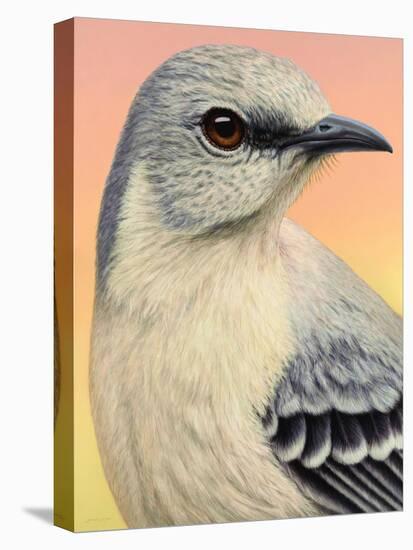 Mocking Bird-James W. Johnson-Premier Image Canvas