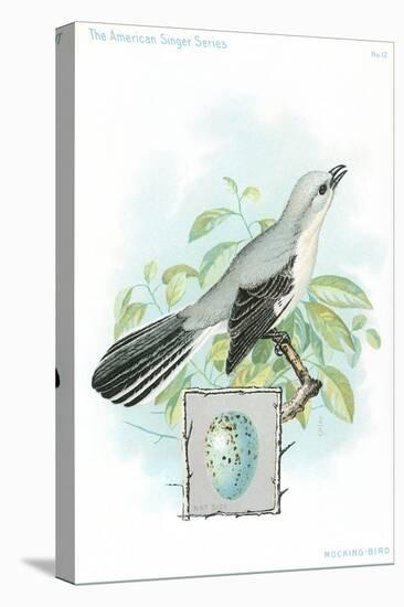 Mockingbird and Egg-null-Stretched Canvas