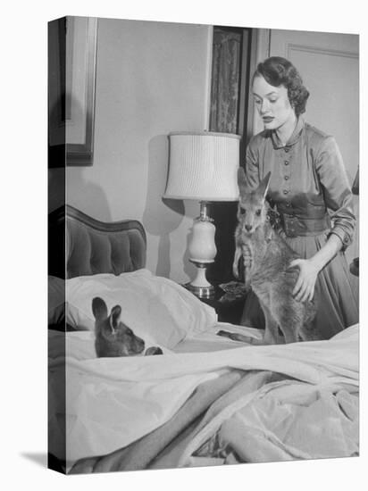 Model Loretta North with Small Kangaroos at the Australian Embassy Putting a Sick Kangaroo to Bed-null-Premier Image Canvas