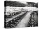 Model T Ford Factory in Trafford Park, Manchester, 1914-null-Premier Image Canvas