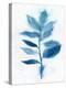 Modern Blue Botanical II-Aria K-Stretched Canvas