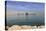 Modern City Skyline of West Bay, Qatar-Eleanor Scriven-Premier Image Canvas