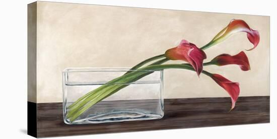 Modern Composition, Callas-Shin Mills-Stretched Canvas