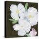 Modern Floral - Trio-Belle Poesia-Stretched Canvas