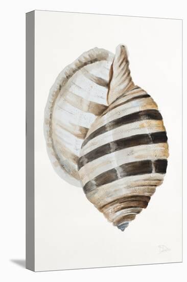 Modern Shell I-Patricia Pinto-Stretched Canvas