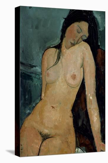 Modigliani: Nude, C1917-Amedeo Modigliani-Premier Image Canvas