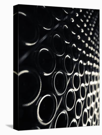 Moet and Chandon Champagne Winery, Epernay, Champagne Region, Marne, France-Walter Bibikow-Premier Image Canvas