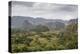 Mogotes in the Vinales Valley, UNESCO World Heritage Site, Pinar Del Rio, Cuba, West Indies-Yadid Levy-Premier Image Canvas