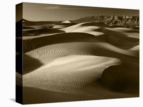 Mojave Desert Sand Dunes, Death Valley National Park, California, USA-Adam Jones-Premier Image Canvas