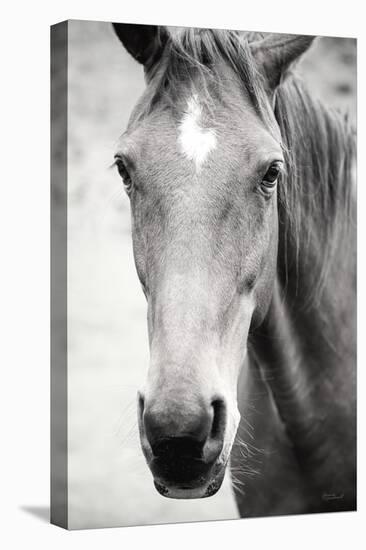 Moke Lake Horses I-Laura Marshall-Stretched Canvas