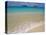 Mokulua Islands from Lanikai Beach-Darrell Gulin-Premier Image Canvas