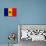 Moldova Flag Design with Wood Patterning - Flags of the World Series-Philippe Hugonnard-Stretched Canvas displayed on a wall