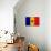 Moldova Flag Design with Wood Patterning - Flags of the World Series-Philippe Hugonnard-Stretched Canvas displayed on a wall