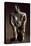 Molten Gold Lost Wax Statue Originating from Sammaraya-null-Premier Image Canvas