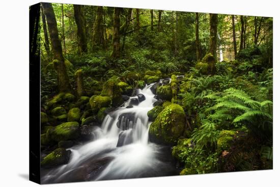 Moment in Nature-Natalie Mikaels-Premier Image Canvas