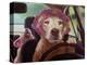 Mommy Chauffeur-Lucia Heffernan-Stretched Canvas