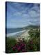 Monarch Beach 1-Chris Bliss-Premier Image Canvas
