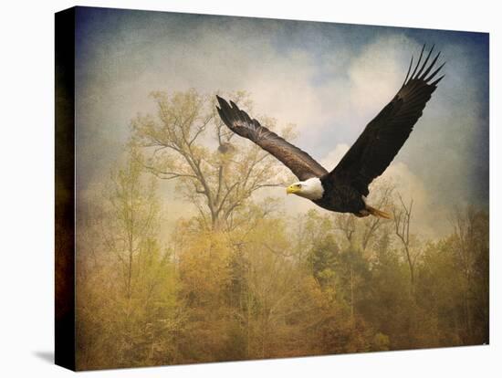 Monarch of the Skies Bald Eagle-Jai Johnson-Premier Image Canvas