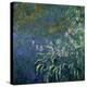 Monet: Irises By The Pond-Claude Monet-Premier Image Canvas