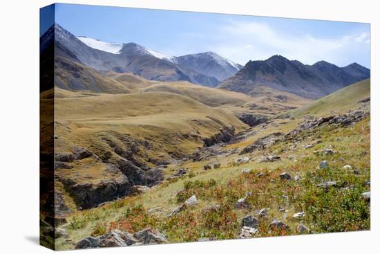 Mongolia, Bayan Logia Province, Gashuun Suhayt. River Valley-Emily Wilson-Premier Image Canvas