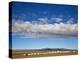 Mongolia, Bayangobi, Ger Camp-Jane Sweeney-Premier Image Canvas