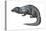 Mongoose (Herpestes Nyula), Mammals-Encyclopaedia Britannica-Stretched Canvas