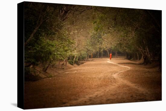 Monk on Path-Erin Berzel-Premier Image Canvas