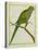 Monk Parakeet-Georges-Louis Buffon-Premier Image Canvas