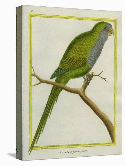 Monk Parakeet-Georges-Louis Buffon-Premier Image Canvas