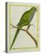 Monk Parakeet-Georges-Louis Buffon-Premier Image Canvas