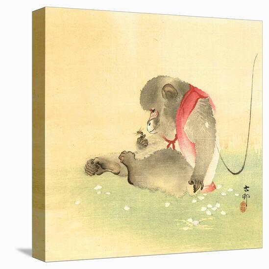 Monkey and Bee-Koson Ohara-Premier Image Canvas