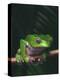 Monkey Tree Frog Perched on Twig-null-Premier Image Canvas