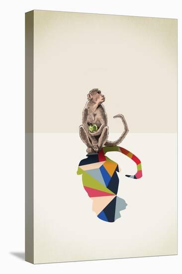 Monkey-Jason Ratliff-Premier Image Canvas