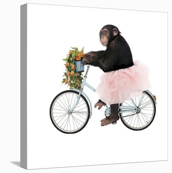 Monkeys Riding Bikes #1-J Hovenstine Studios-Premier Image Canvas