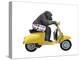 Monkeys Riding Bikes #4-J Hovenstine Studios-Premier Image Canvas