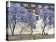 Monks, Punakha Dzong Palance, Bhutan-Dennis Kirkland-Premier Image Canvas