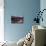 Mono Lake Sunrise-Steven Maxx-Premier Image Canvas displayed on a wall