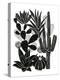 Monochrome Cacti-Myriam Tebbakha-Stretched Canvas