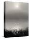 Monochrome Sunrise-Nicholas Bell-Premier Image Canvas