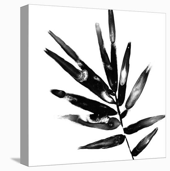 Monochrome Tropic IX-June Vess-Stretched Canvas