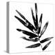 Monochrome Tropic IX-June Vess-Stretched Canvas