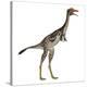 Mononykus Dinosaur Standing-Stocktrek Images-Stretched Canvas